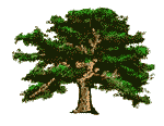 tree2.gif (9181 bytes)